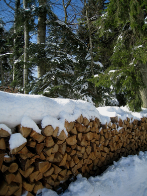 Eichenberg Wintertag 2010 _12_.jpg