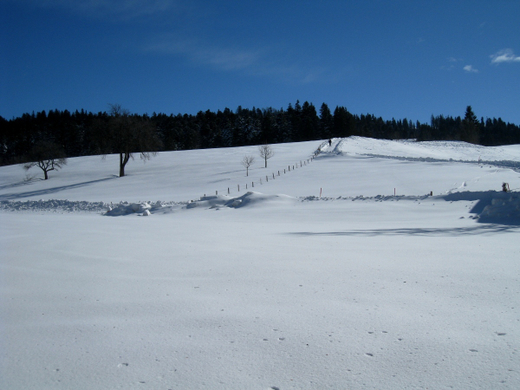 Eichenberg Wintertag 2010 _13_.jpg