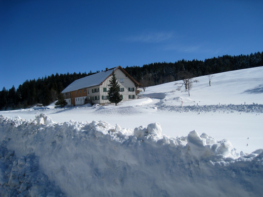 Eichenberg Wintertag 2010 _14_.jpg