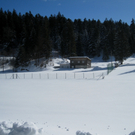 Eichenberg Wintertag 2010 _17_.jpg