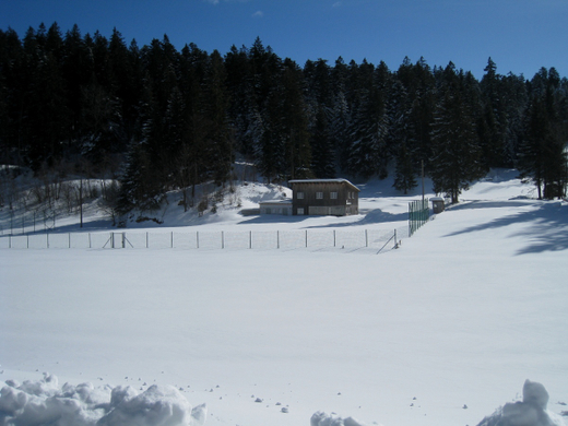 Eichenberg Wintertag 2010 _17_.jpg