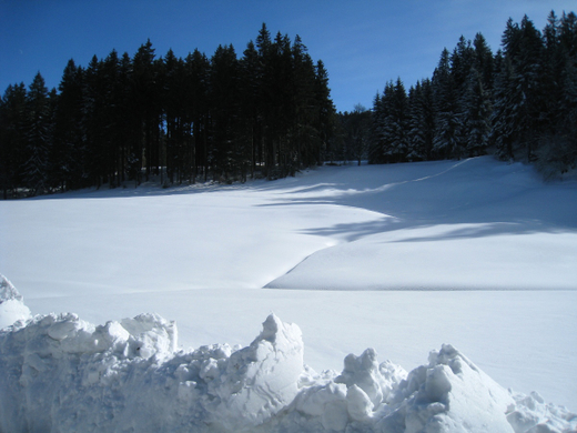 Eichenberg Wintertag 2010 _20_.jpg