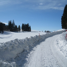 Eichenberg Wintertag 2010 _21_.jpg