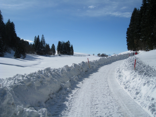Eichenberg Wintertag 2010 _21_.jpg