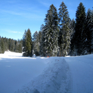 Eichenberg Wintertag 2010 _22_.jpg