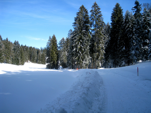 Eichenberg Wintertag 2010 _22_.jpg