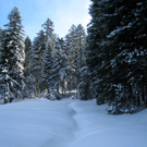 Eichenberg Wintertag 2010 _23_.jpg