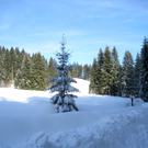 Eichenberg Wintertag 2010 _25_.jpg