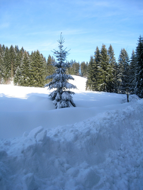 Eichenberg Wintertag 2010 _25_.jpg
