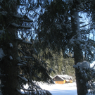 Eichenberg Wintertag 2010 _26_.jpg
