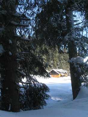 Eichenberg Wintertag 2010 _26_.jpg