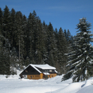 Eichenberg Wintertag 2010 _27_.jpg