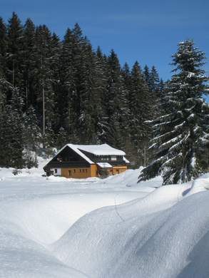 Eichenberg Wintertag 2010 _27_.jpg