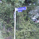 Birkiswies1_JPG-1361133443