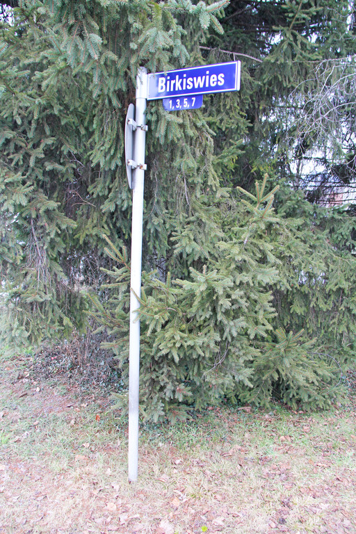 Birkiswies1_JPG-1361133443