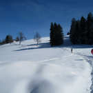 Eichenberg Wintertag 2010 _29_.jpg