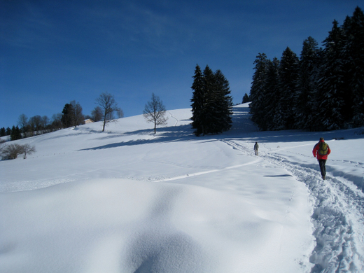 Eichenberg Wintertag 2010 _29_.jpg