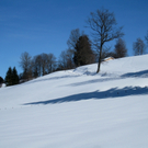 Eichenberg Wintertag 2010 _30_.jpg