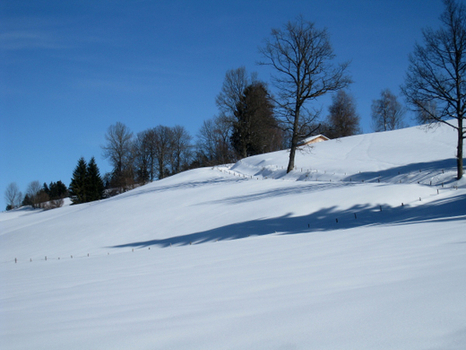 Eichenberg Wintertag 2010 _30_.jpg