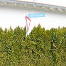 Sch__flestra__e1_JPG-1361134302