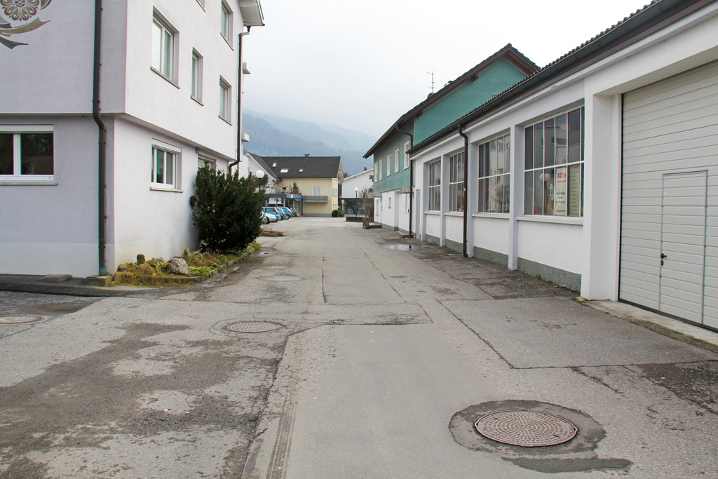 Sch__flestra__e2_JPG-1361134347