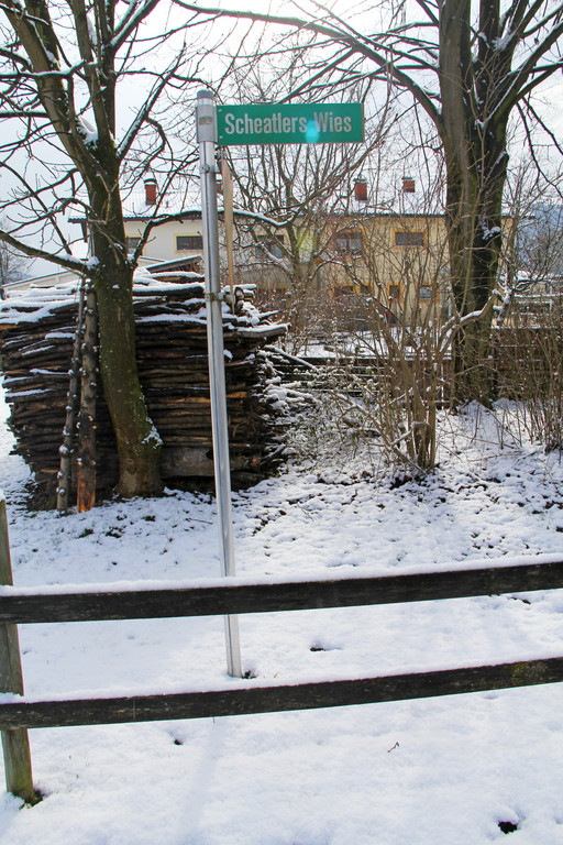 Schealters Wies1_JPG-1361134932