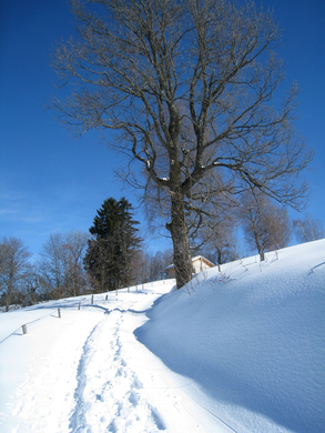 Eichenberg Wintertag 2010 _31_.jpg