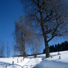 Eichenberg Wintertag 2010 _32_.jpg
