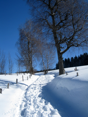 Eichenberg Wintertag 2010 _32_.jpg