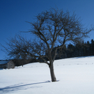 Eichenberg Wintertag 2010 _33_.jpg