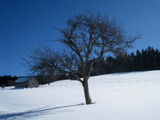 Eichenberg Wintertag 2010 _33_.jpg