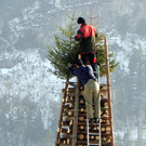 DSCN0178.JPG