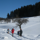 Eichenberg Wintertag 2010 _38_.jpg