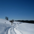 Eichenberg Wintertag 2010 _39_.jpg