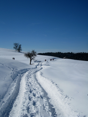 Eichenberg Wintertag 2010 _39_.jpg