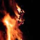 DSCN0277.JPG