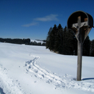 Eichenberg Wintertag 2010 _40_.jpg