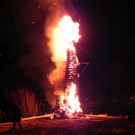 DSCN0269.JPG