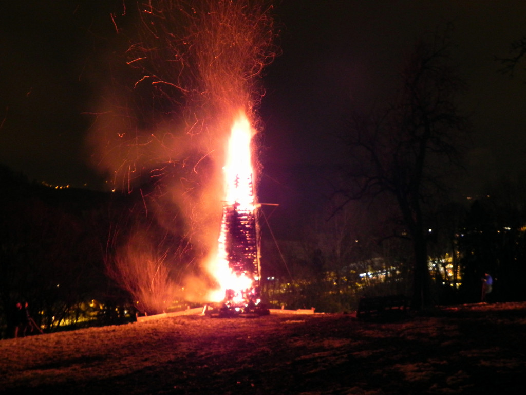 DSCN0278.JPG