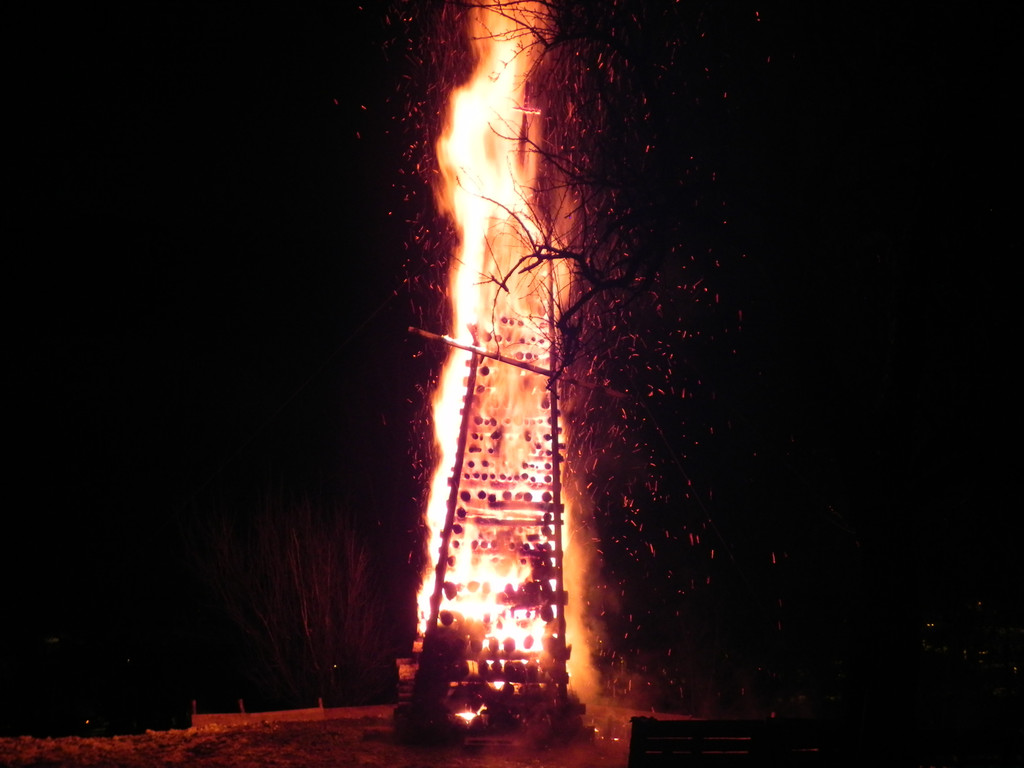 DSCN0285.JPG