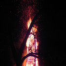DSCN0288.JPG