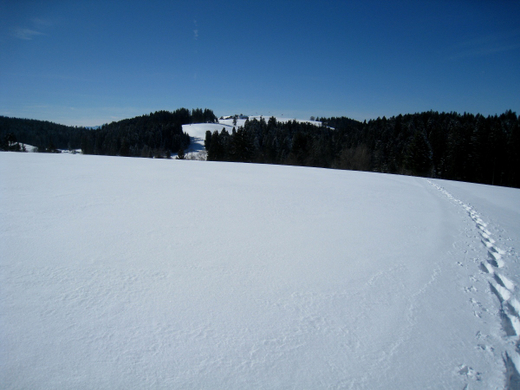 Eichenberg Wintertag 2010 _41_.jpg