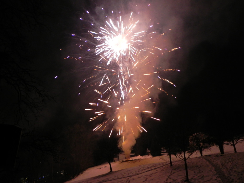 DSCN0311.JPG