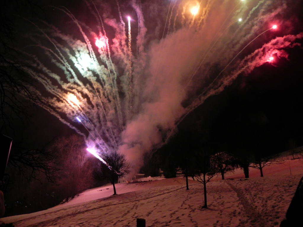 DSCN0313.JPG