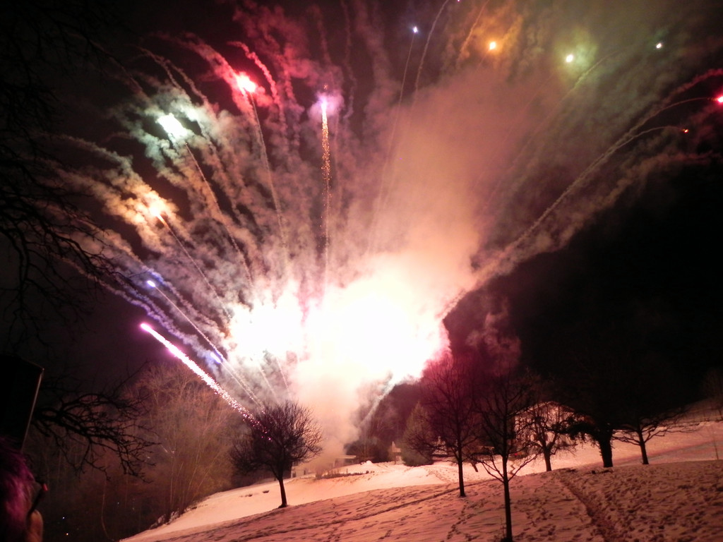 DSCN0314.JPG