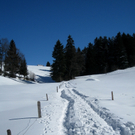 Eichenberg Wintertag 2010 _42_.jpg