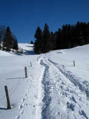 Eichenberg Wintertag 2010 _42_.jpg