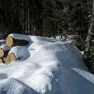 Eichenberg Wintertag 2010 _43_.jpg