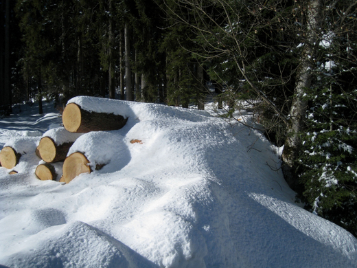 Eichenberg Wintertag 2010 _43_.jpg