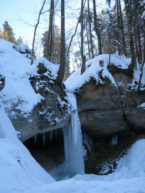 Eichenberg Wintertag 2010 _45_.jpg